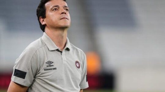 diniz