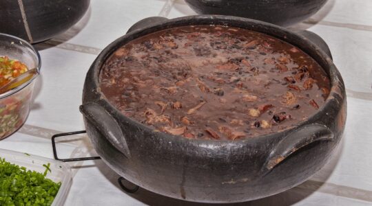 feijoada-4008190_1280