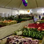Dias 6 a 15 de setembro – 13ª Expo&Flor – Ponta Grossa