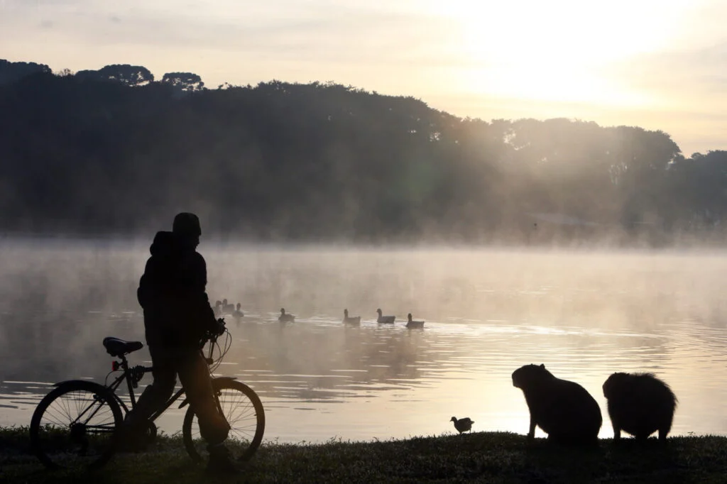 frio-em-curitiba-1024×682