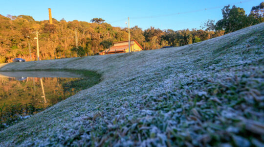 frio geada