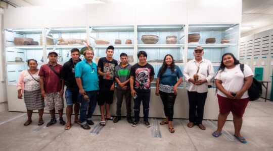 mae ufpr museu