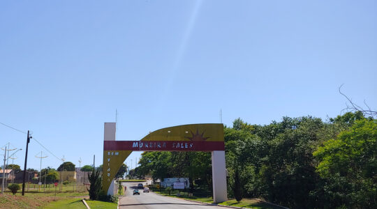 moreira sales