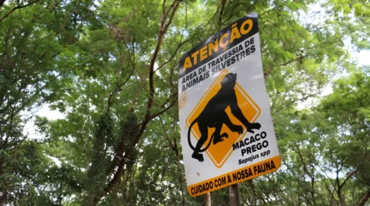 placas-avisos-protecao-animais-silvestres-Parque-Arthur-Thomas-Emerson-Dias-2