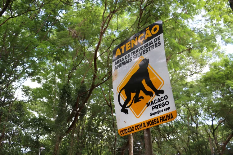placas-avisos-protecao-animais-silvestres-Parque-Arthur-Thomas-Emerson-Dias-2