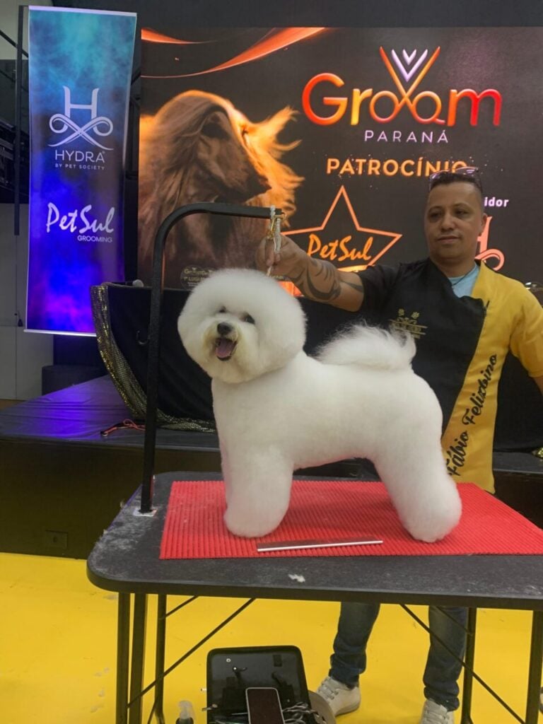 poodle