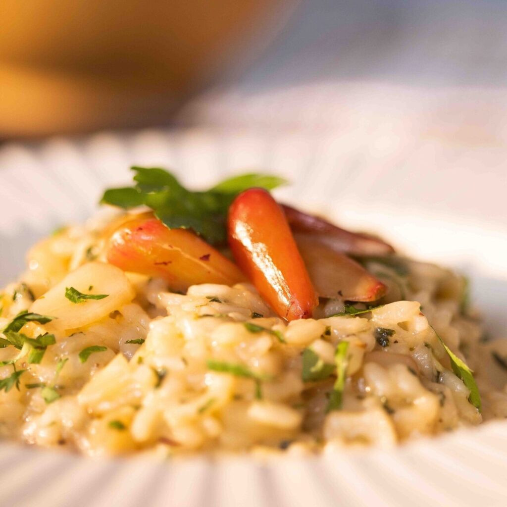 risoto de pinhão