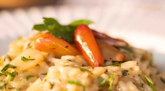 risoto de pinhão
