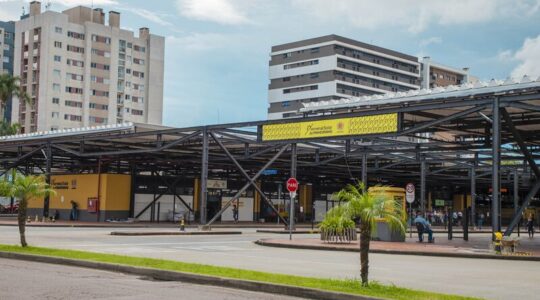 terminais