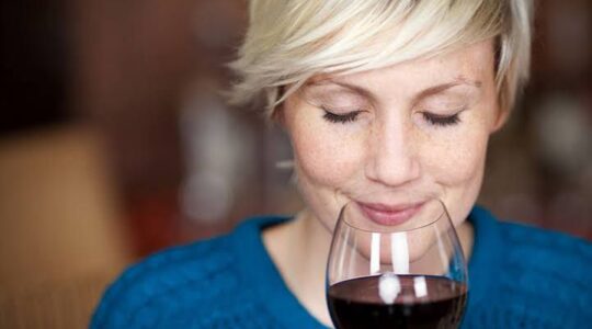vinho