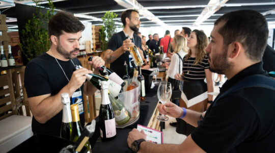 Festival Vinopar 2019 (foto Ata Hostin)