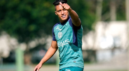 13coxa-seba