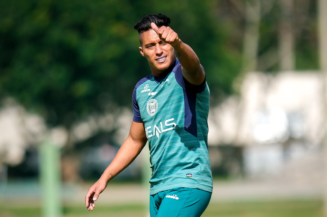 13coxa-seba