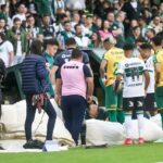 22coxa12