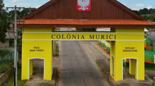 COLONIA MURICI