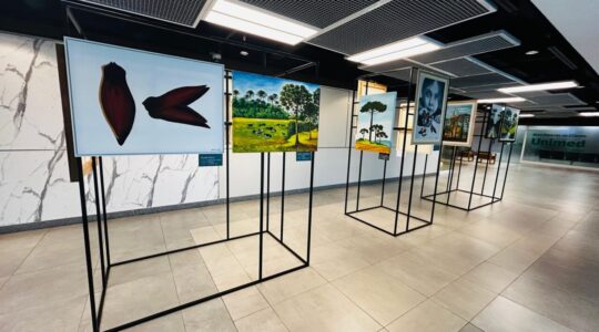 Exposição do Pinhao_Por Lalika Stadnik (1)