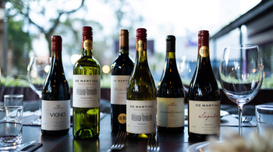 Harmonizacao De Martino Vino Batel – foto Cauby Ross (2)