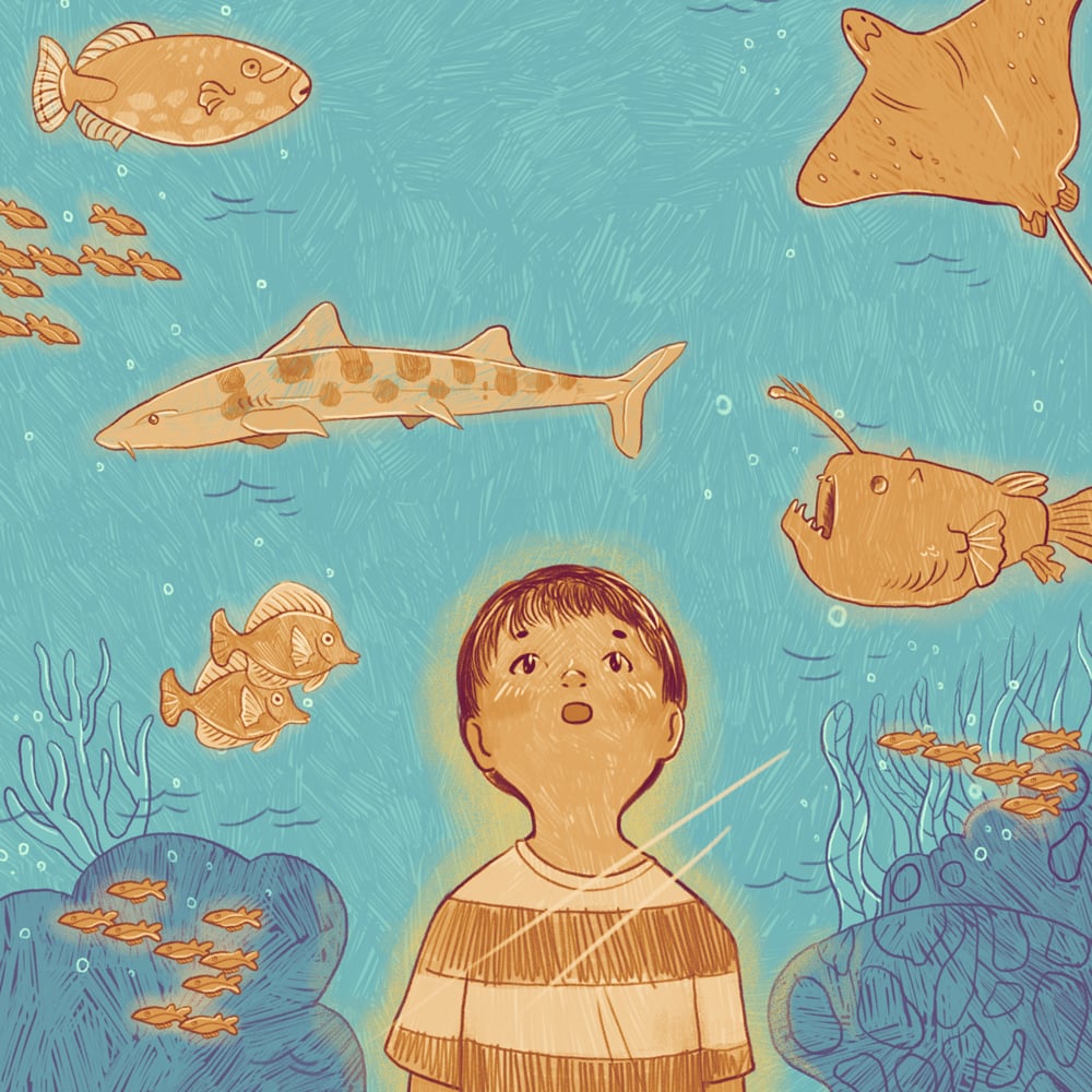 HowManyFishesCover_IngridSkare