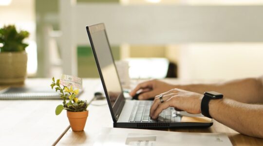 Kultivi_Online