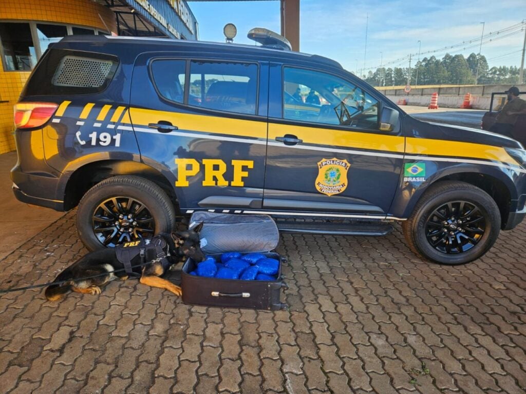 Sem título