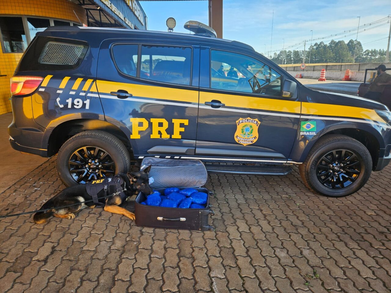 Sem título
