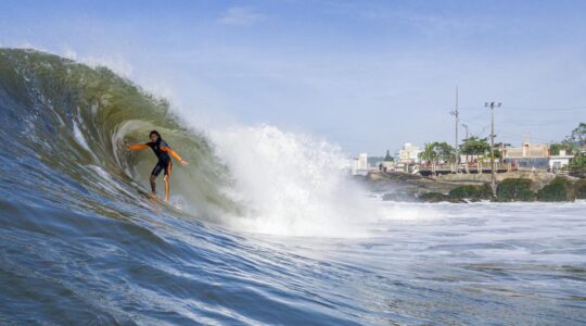Surfe
