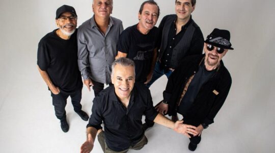 The Fevers divulgação