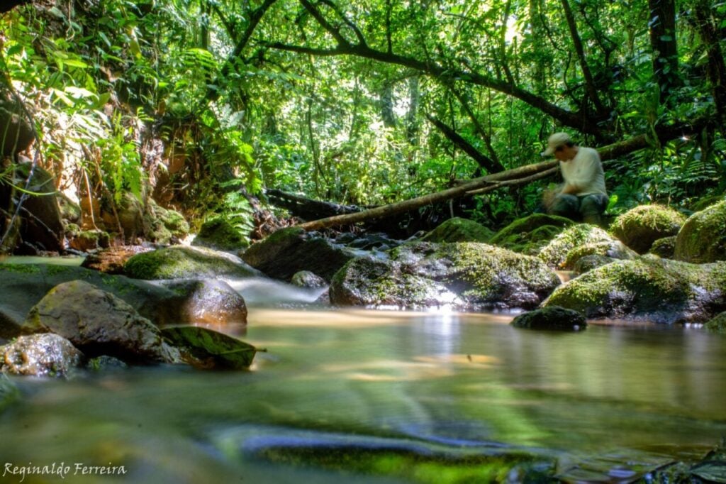 agua floresta spvs antonina