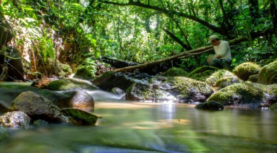 agua floresta spvs antonina