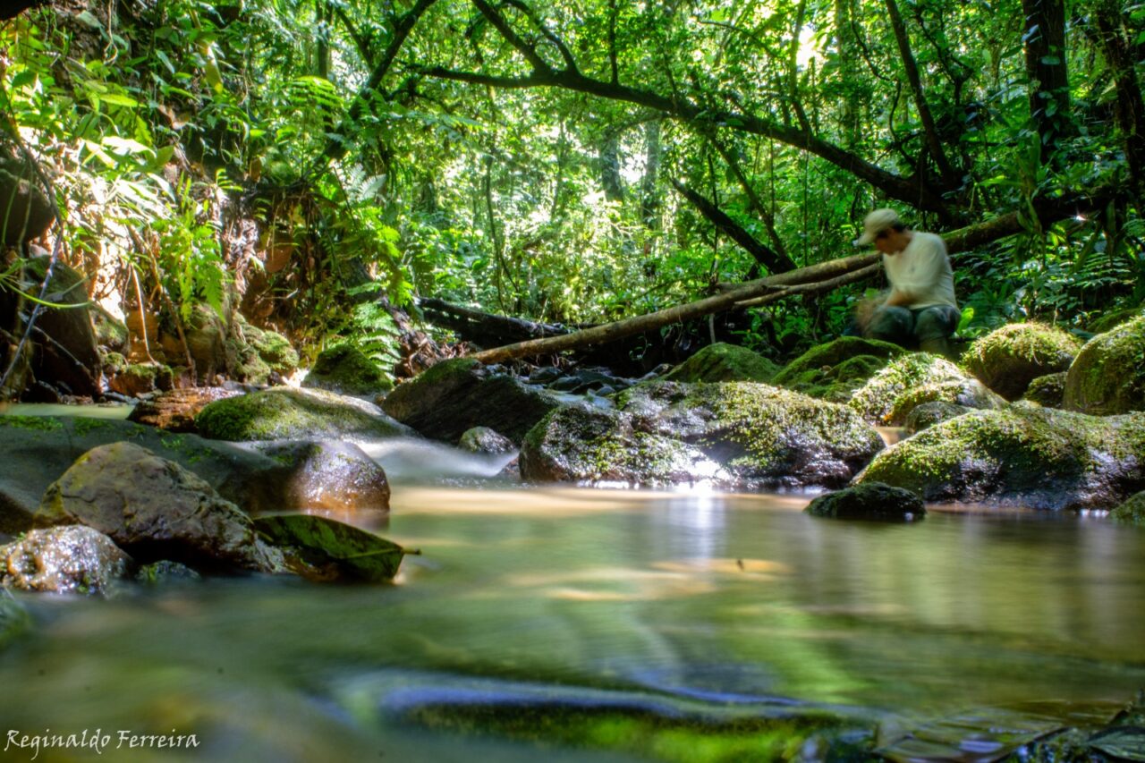 agua floresta spvs antonina