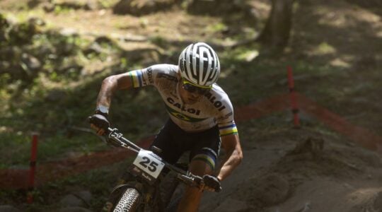 caloi mountain bike