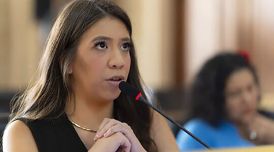camilla gonda votação projeto previdência na justiça foto CMC