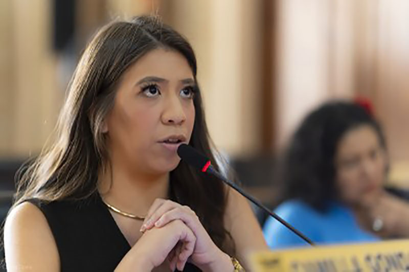 camilla gonda votação projeto previdência na justiça foto CMC