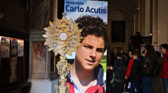 carlo acutis