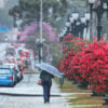 chuva parana