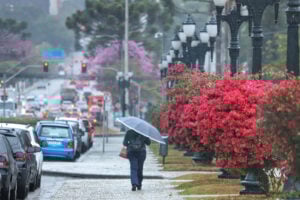 chuva parana