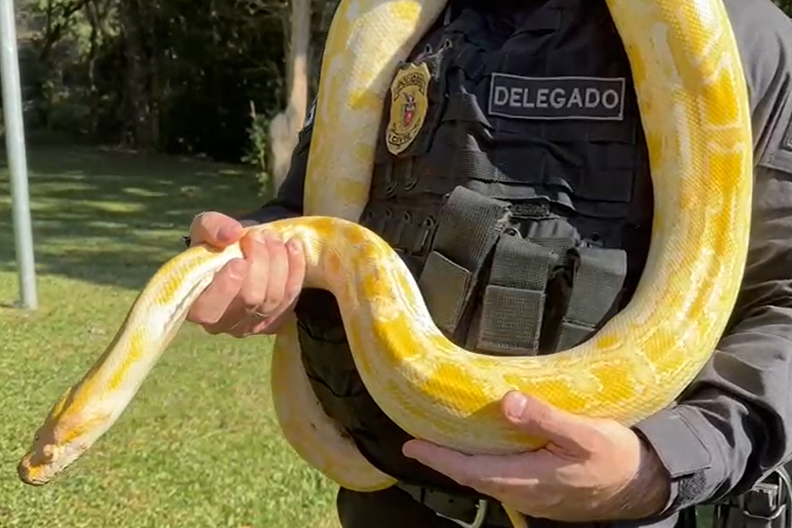 cobra pcpr