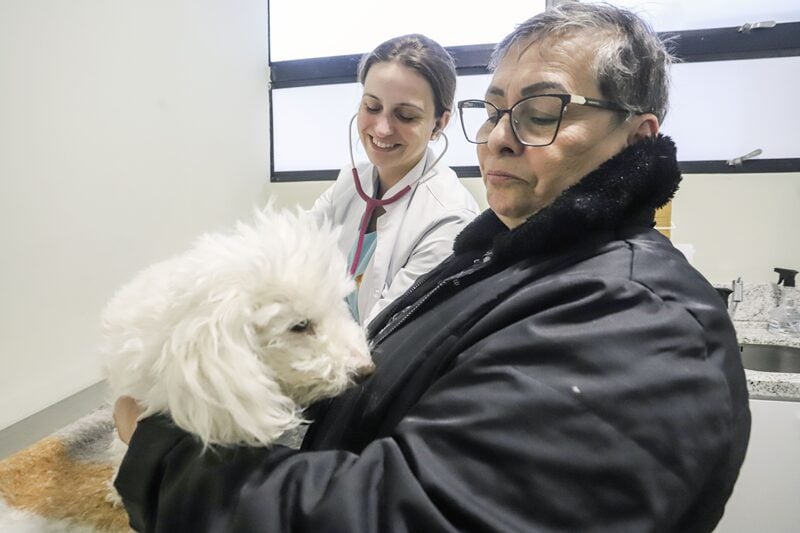 consultas hospital veterinario