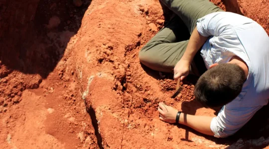 excavation_at_the_buriol_site_3_by_janaina_brand_dillmann