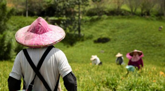 farmer-8294716_1920