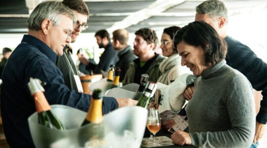 festivalvinopar_31_web