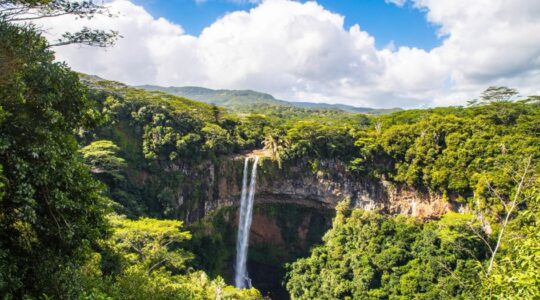 meio ambiente empresas