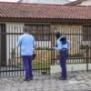 mutirai dengue.jgp