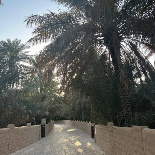 Oásis de Al Ain - Foto: Anna Neiva