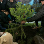 plantio_araucaria_foto_rdziura-9339