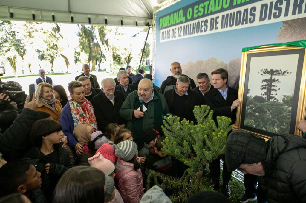 plantio_araucaria_foto_rdziura-9356