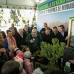 plantio_araucaria_foto_rdziura-9356