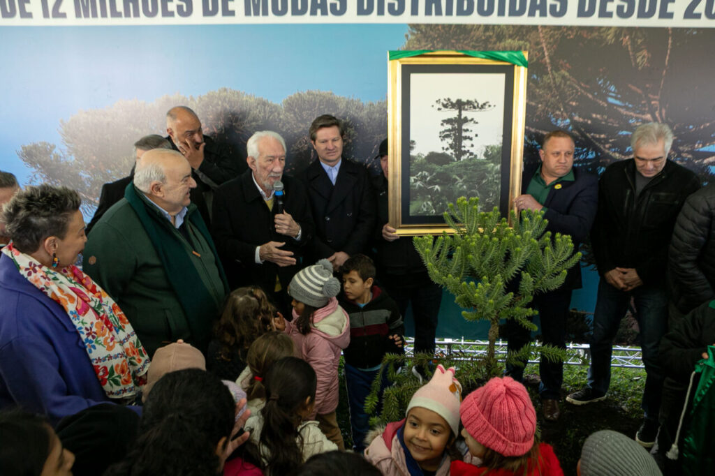 plantio_araucaria_foto_rdziura-9382