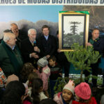 plantio_araucaria_foto_rdziura-9382