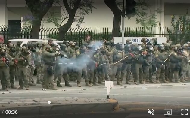 reprodução